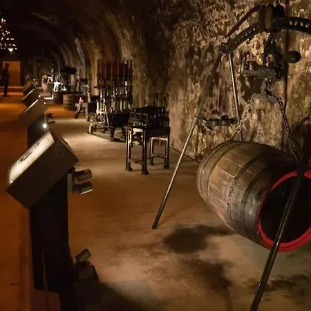 Au Cosy Garden * Reims